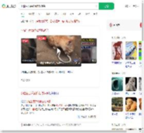 小猫生吞活蛇像在吃辣条_360搜索