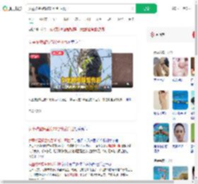 女童被蜜蜂蜇伤30分钟后离世_360搜索