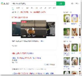 柯基误上高架桥交警护送_360搜索