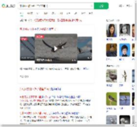 东北网友拍下燕子滞留未南飞_360搜索