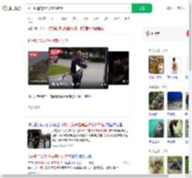 扬子鳄追击黑鱼被意外钓起_360搜索
