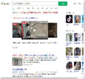 网友发自家小猫卡门上成挂件_360搜索