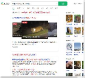 夜遇野生东北虎大喊：本地的_360搜索