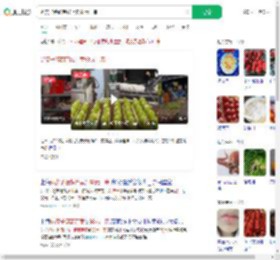 奶皮子糖葫芦线上卖98元一串_360搜索